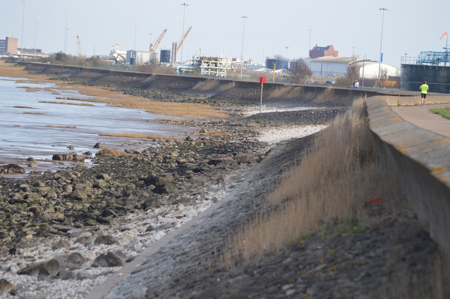 Humber bank wall at the Shallows