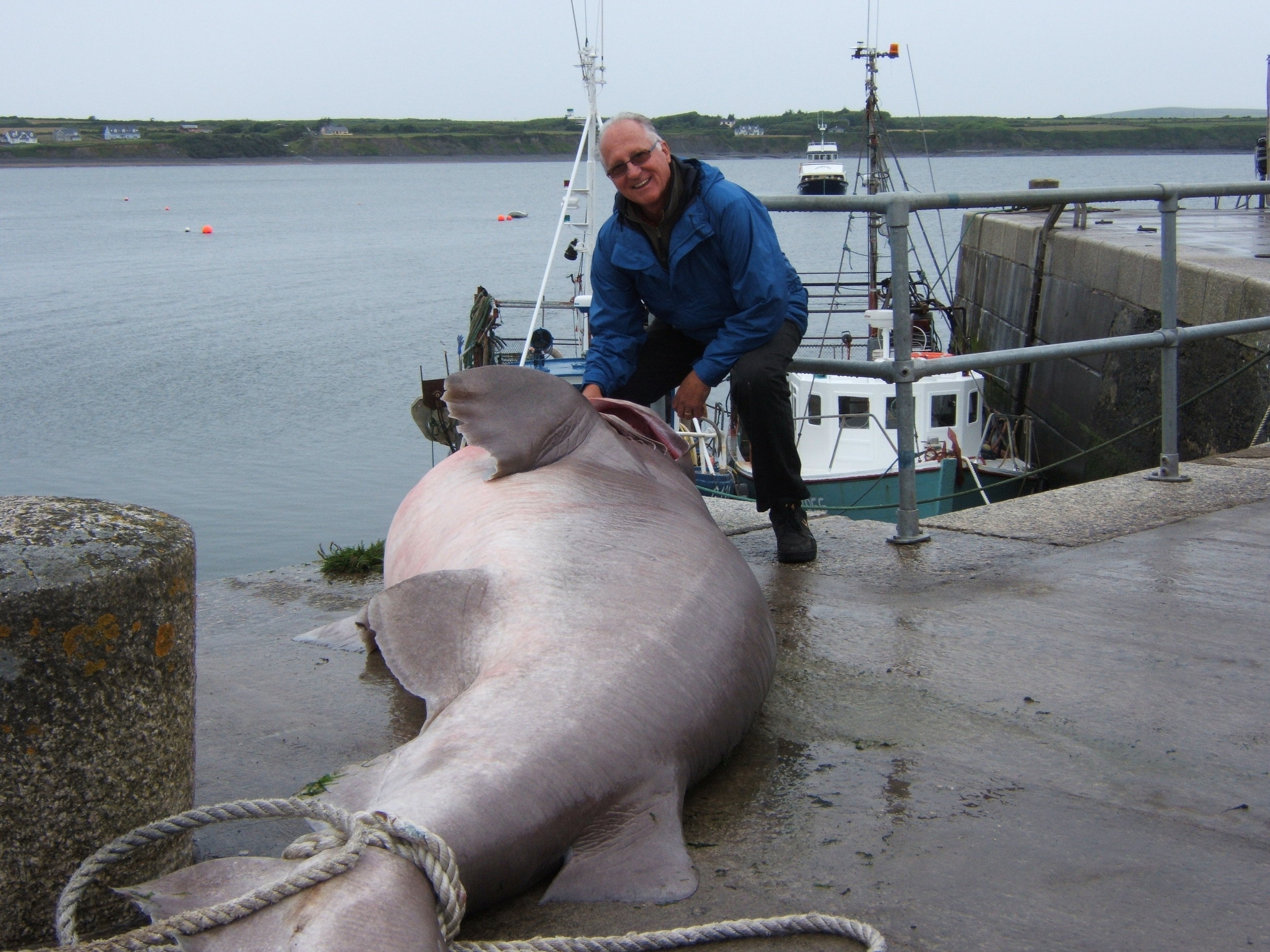 worlds largest fish ever caught on rod and reel