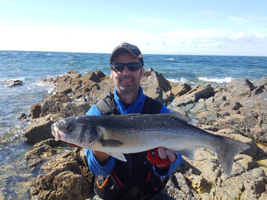 Lure fishing for bass: Cracking the code to watercraft