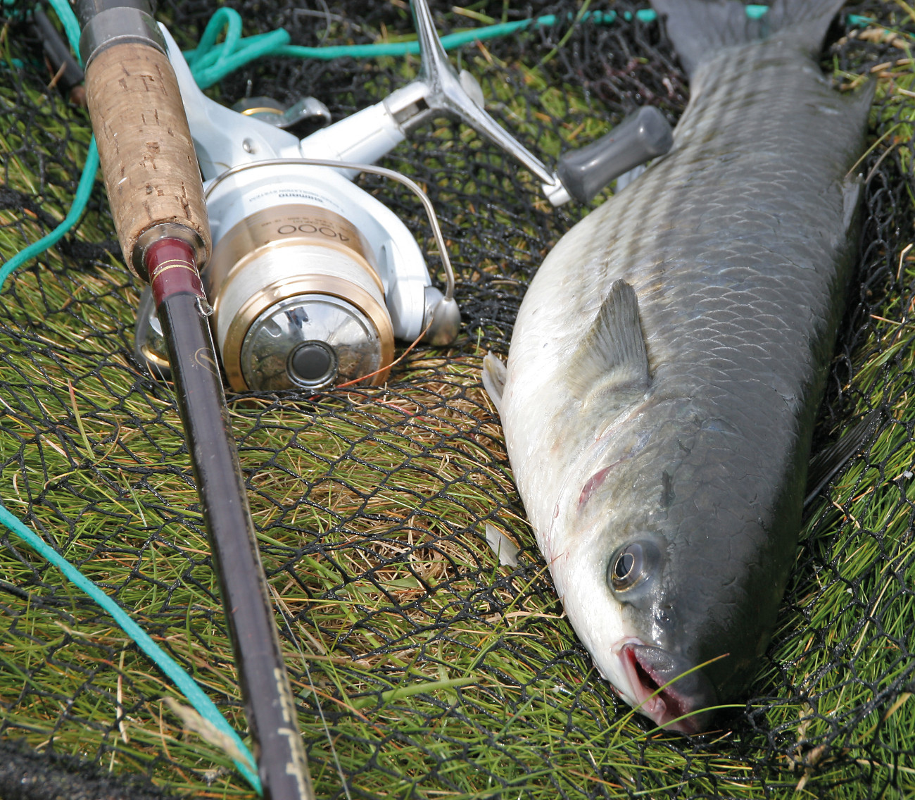 How Often Should You Change Fishing Line? - Coarse Fishing Tips