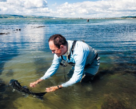 Man releasing fish into water