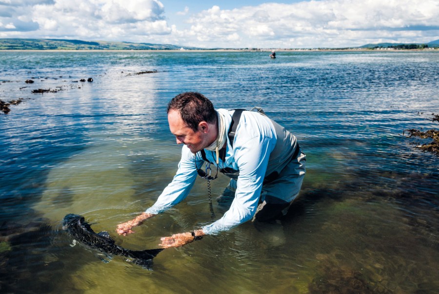 Man releasing fish into water