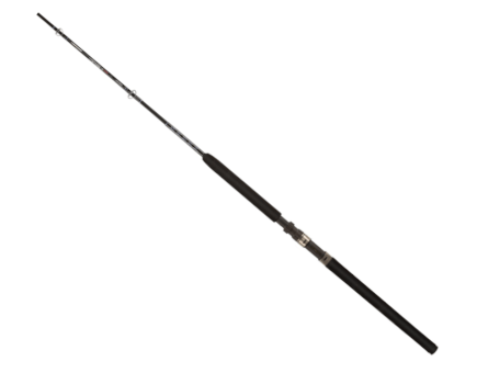 Shakespeare uglystick boat rod