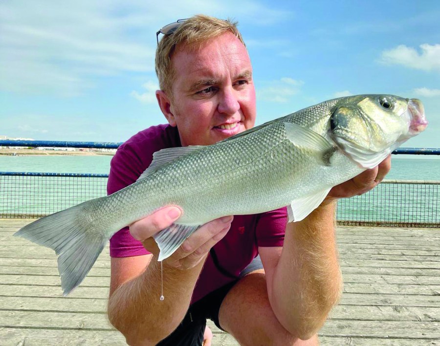 A Walton bass from the Pier caught by a local