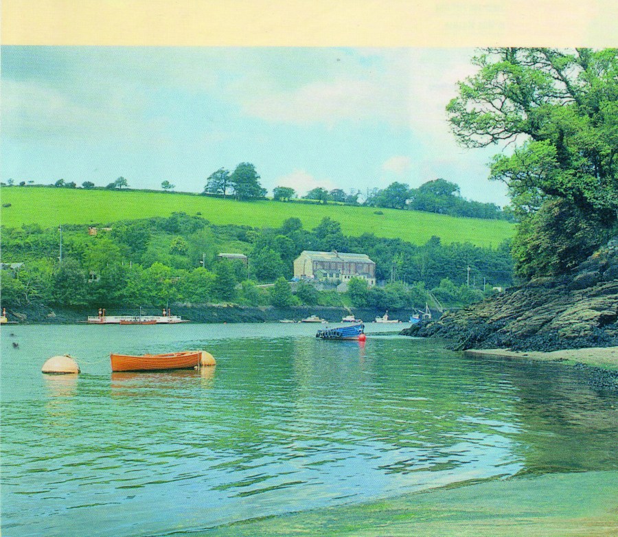 River stretch of the fowey 