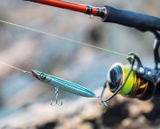 Close Ups - Bass fishing with lures
