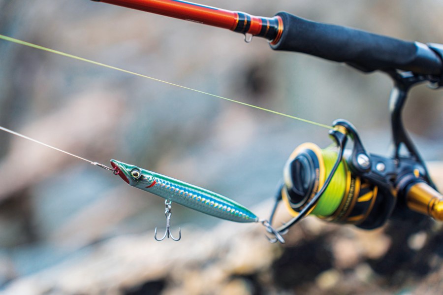 Slap Walker Surface Lures from Savage Gear - SeaAngler