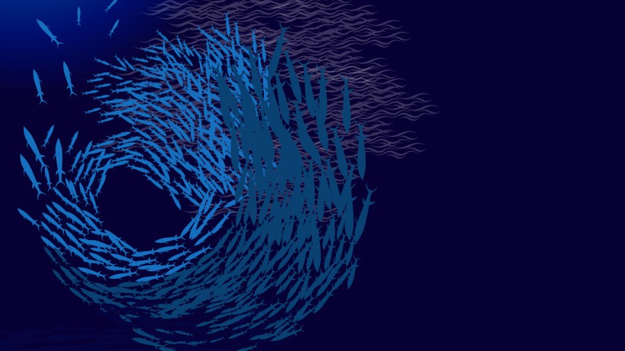 Art illustration of a shoal of fish