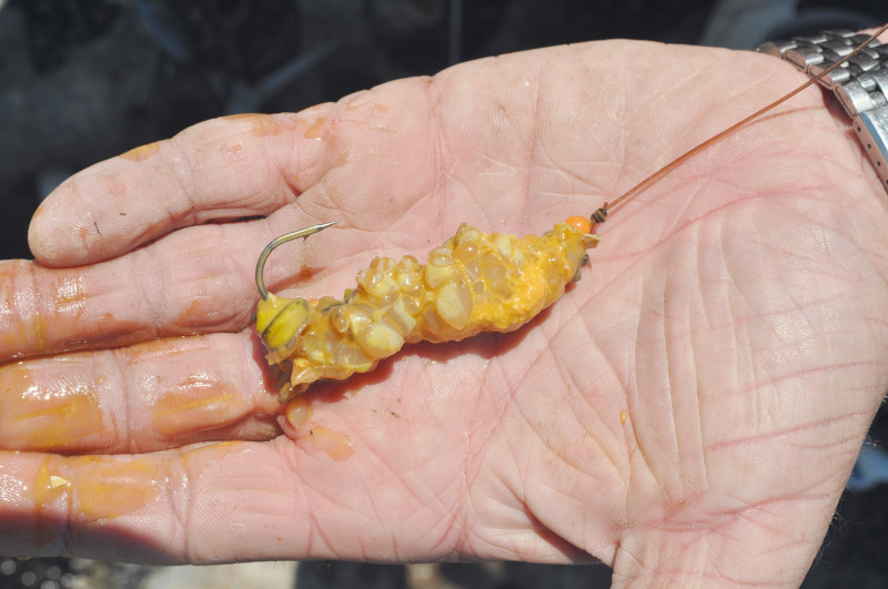 Man holding a sea fishing bait in his hand