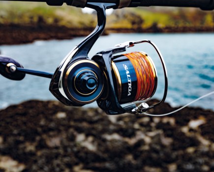 Akios reels differences  World Sea Fishing Forums