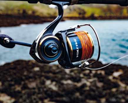 Saltiga 20 fishing reel