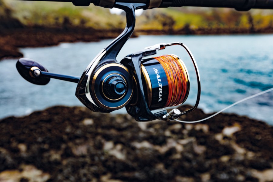 Saltiga 20 fishing reel