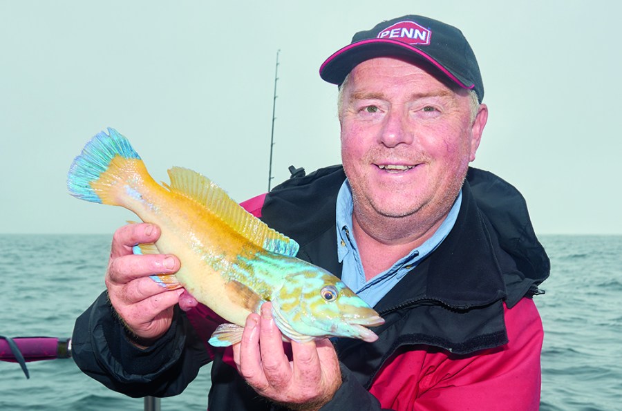 Ten Top Tips for Specimen Hunting - SeaAngler