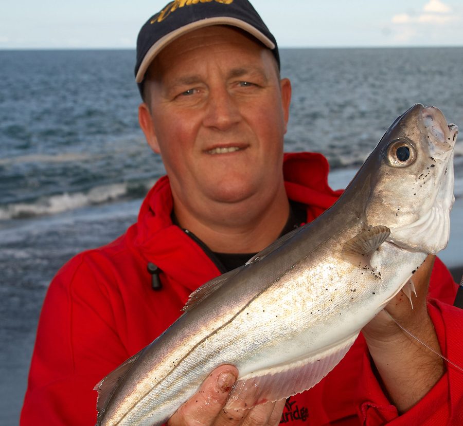 2lb plus shore whiting