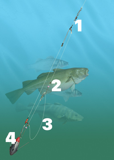 How to tie the loop rig for sea fishing