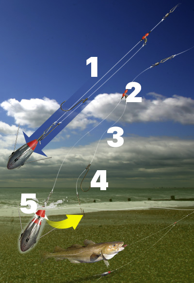 Pennell Paternoster rig diagram