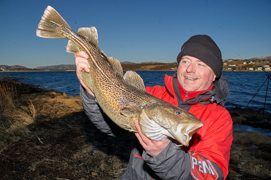 Man holding cod caught from shore