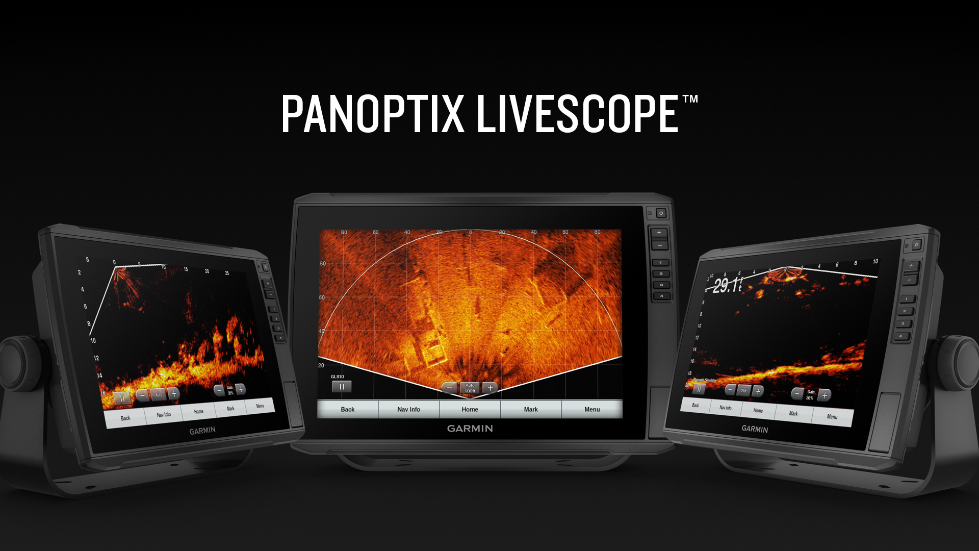 Garmin Panoptix LiveScope transducer: see the fish as it is