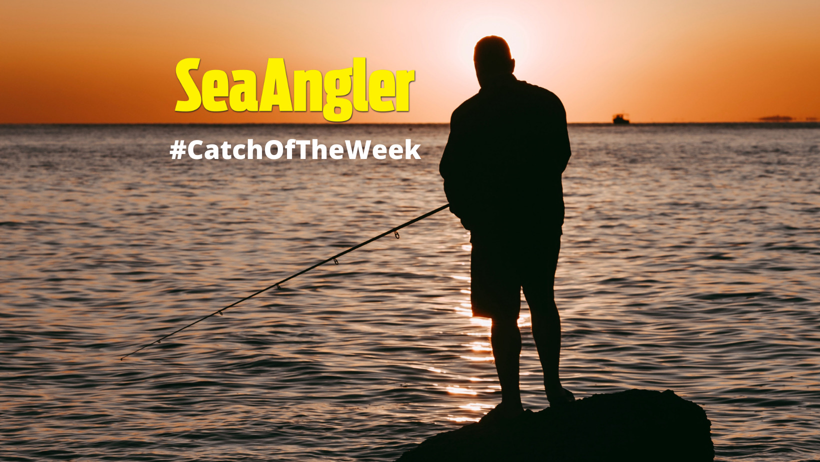 https://www.seaangler.co.uk/wp-content/uploads/sites/3/CatchOfTheWeek-1.jpg