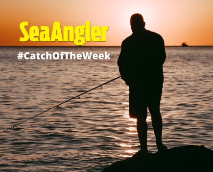 Catch of the week