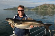 Know Your Fish Coalfish SeaAngler