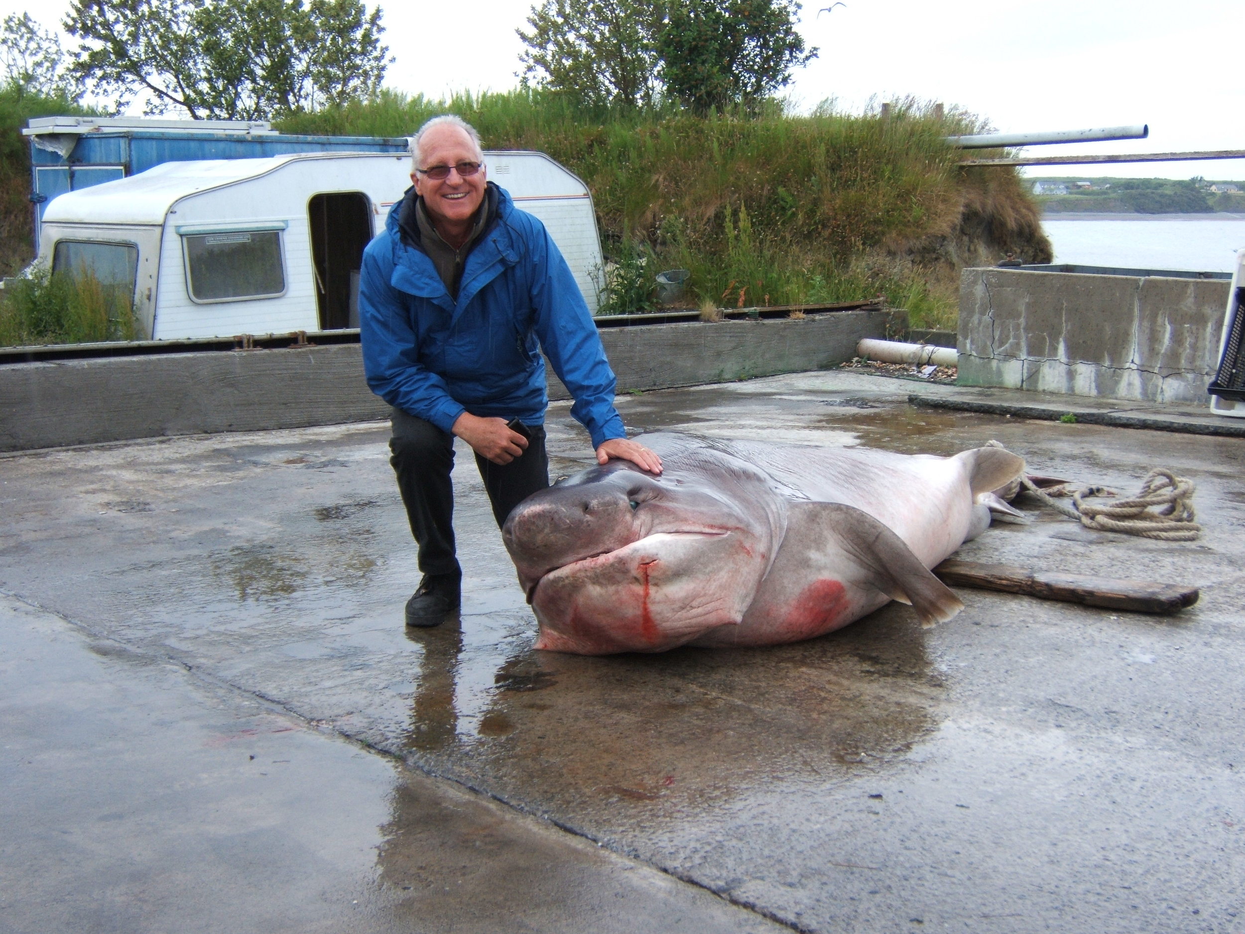 Angling World Rocked by Biggest Fish Ever Caught by a British Angler -  SeaAngler