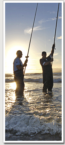 Understand how surf beaches work and catch more fish - SeaAngler