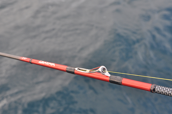 Daiwa Steel Wire Line Trolling Rods