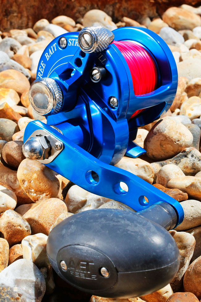 Avet SX 5.3 Mc Cast Reel - SeaAngler