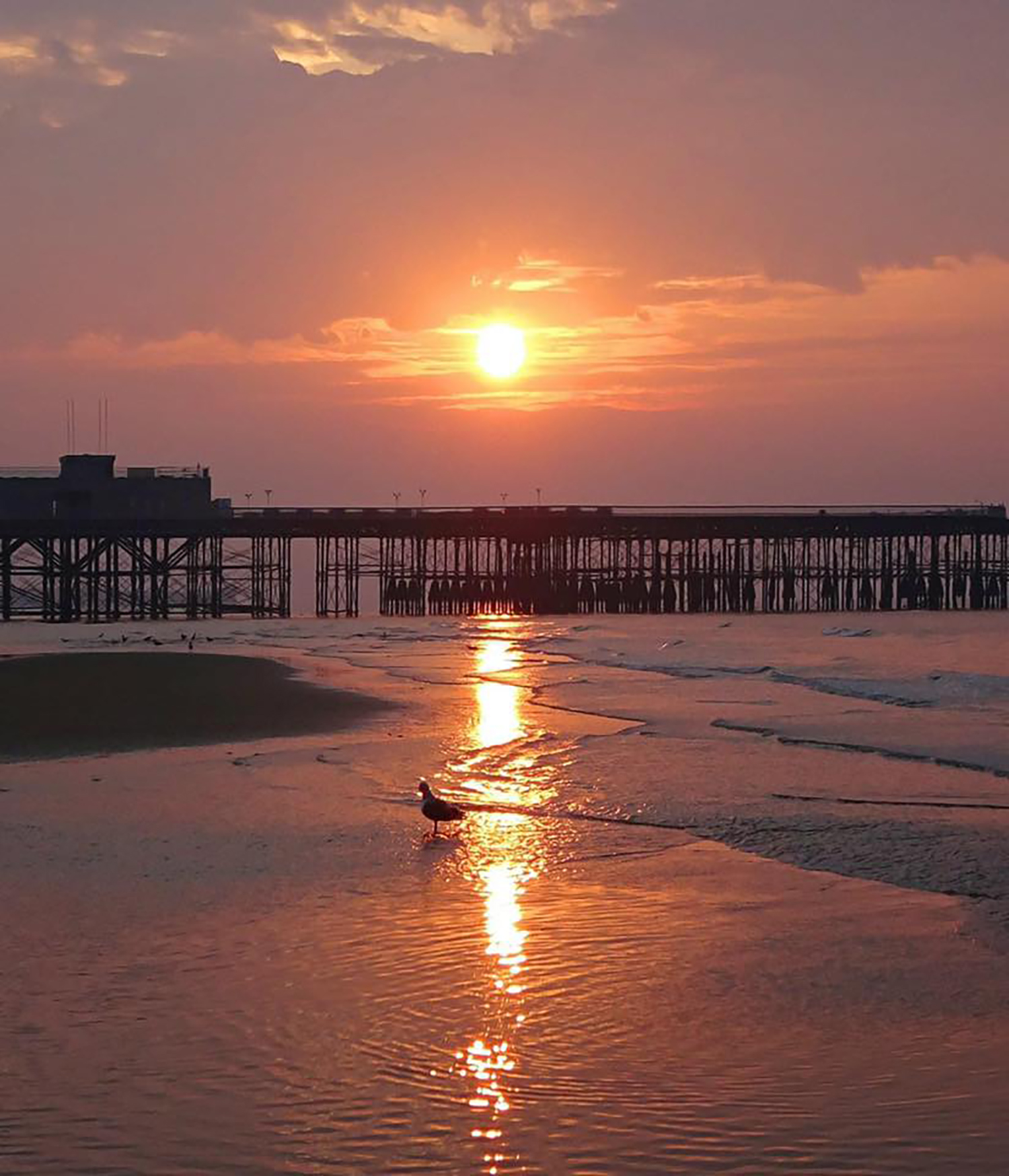 Hastings pier at sunset