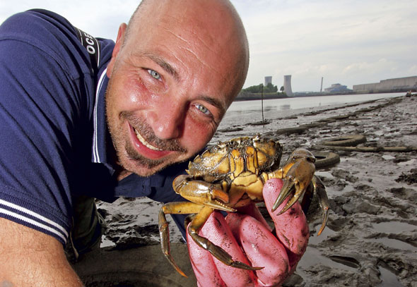 Sea Fishing With Peeler Crabs - SeaAngler