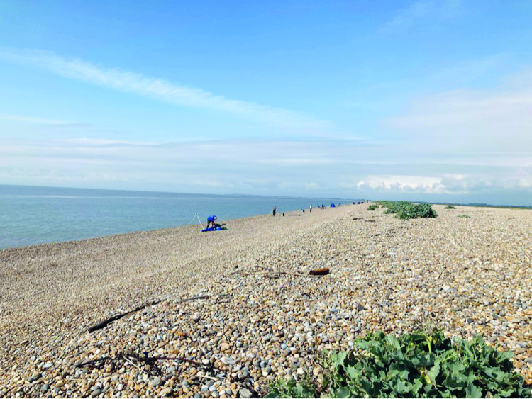 Orford coast 