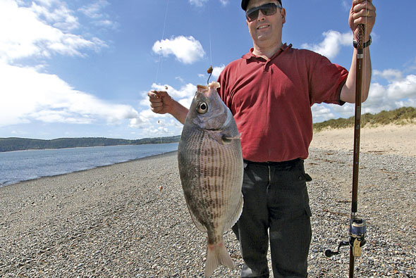 Sea Fishing for Black Bream From the Beach - SeaAngler