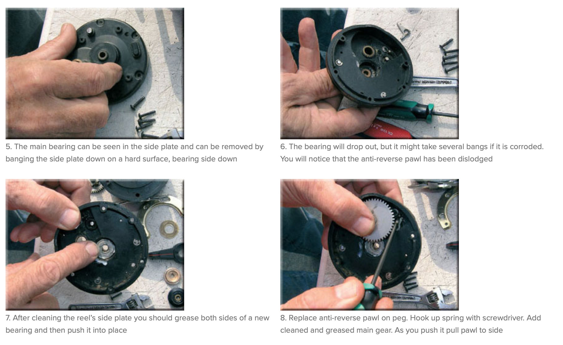 Maintaining a Multiplier Sea Fishing Reel - SeaAngler