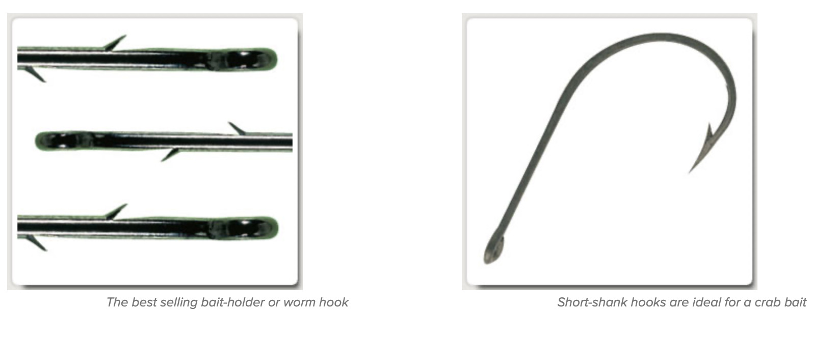 Understanding Hook Speak - SeaAngler