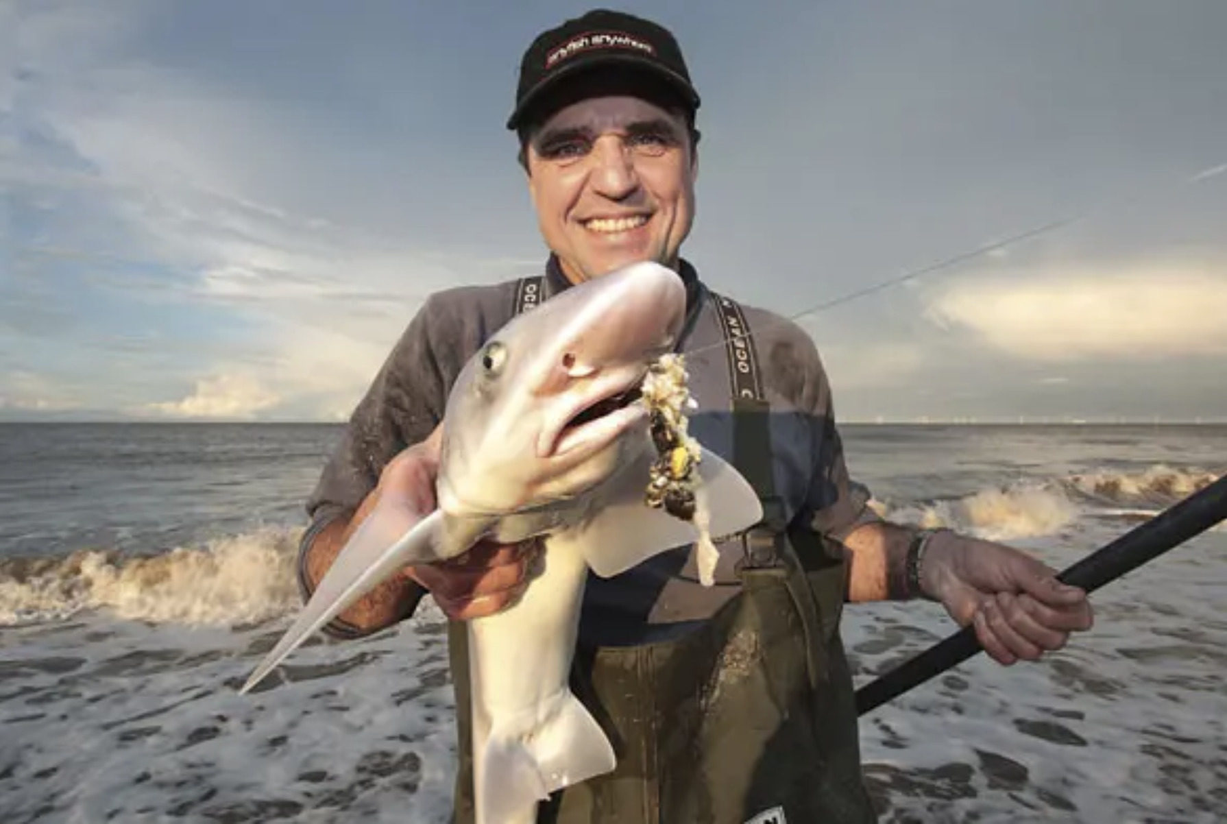Fishing Hooks Freshwater Saltwater Bulk Set Worm Catfish Fish Gear