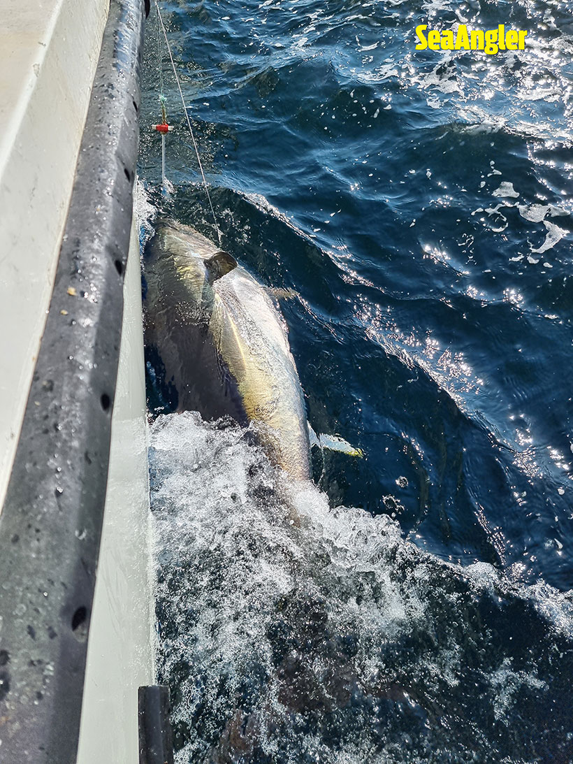 Spurs hook summer's biggest fish in Aldridge