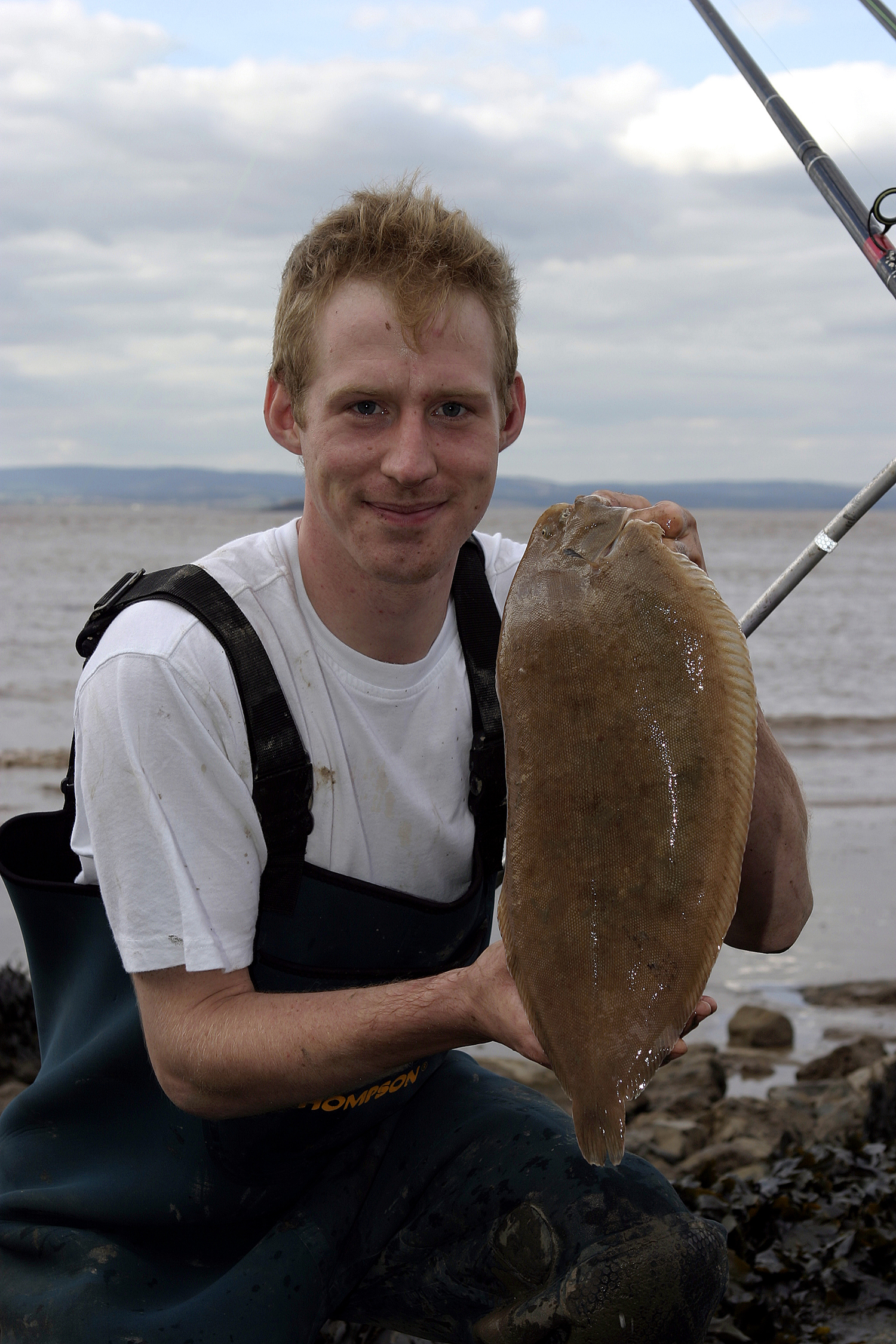 sole flatfish