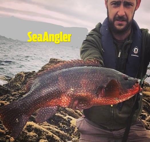 Man with ballan wrasse