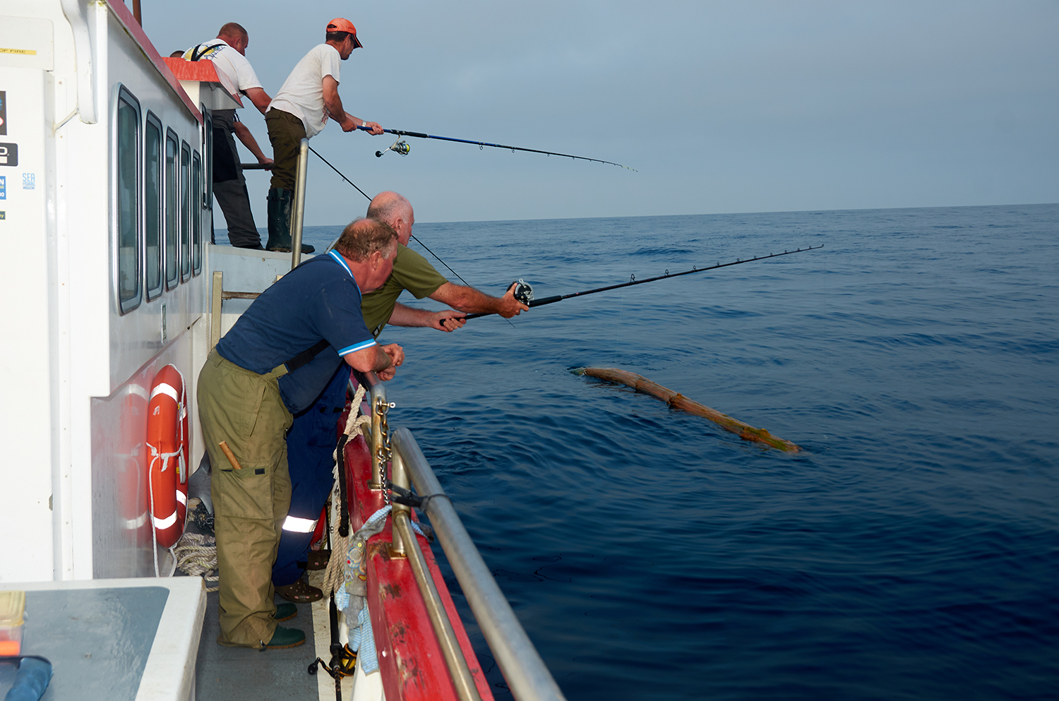 Fishing for rare stone basse