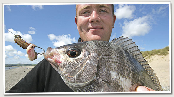 Sea Fishing for Black Bream From the Beach - SeaAngler