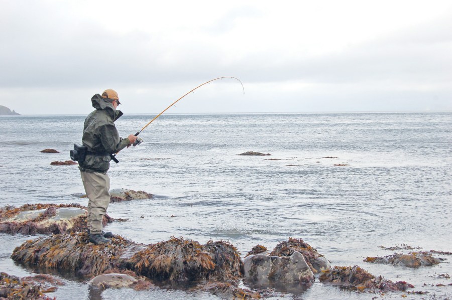Beach Fishing with Lures – Tackle Tactics