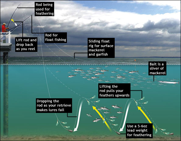 Fishing for Mackerel - Three Great Methods - SeaAngler