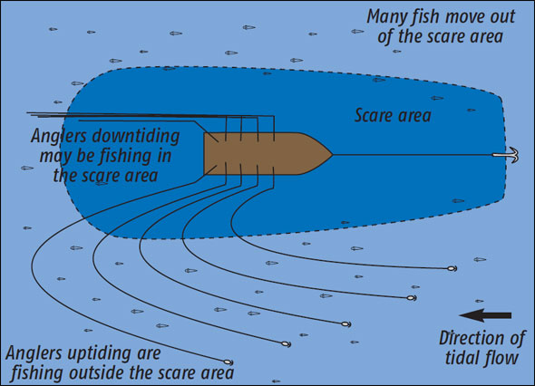 www.seaangler.co.uk