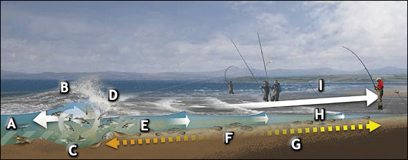 Understand how surf beaches work and catch more fish - SeaAngler