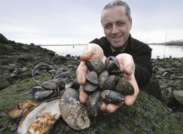 Sea Fishing Mussels - SeaAngler