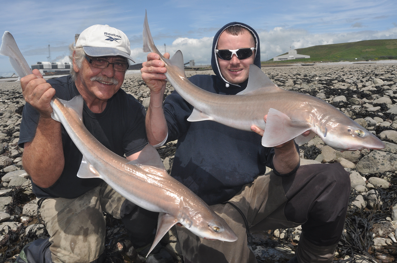 Men holding Smoothhounds at Aberthaw